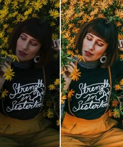 Dazey LA DAZEY BRAND Dazey Dreamsets